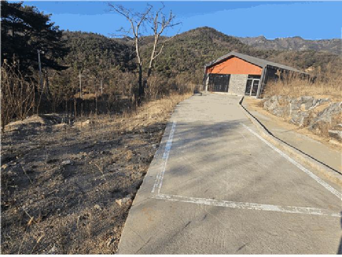 대구광역시 동구 진인동 산203-6 임야 경매 사진 3