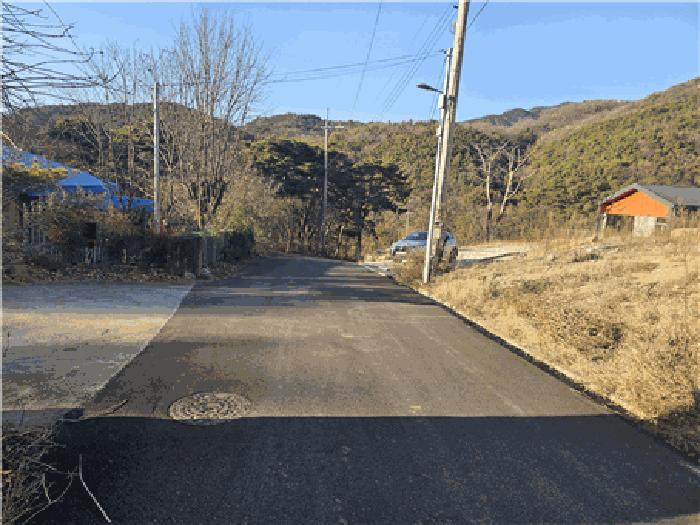 대구광역시 동구 진인동 산203-6 임야 경매 사진 4