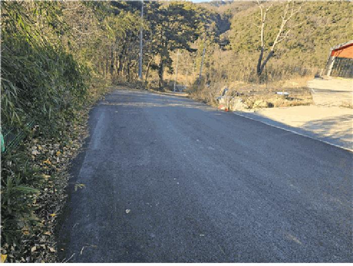 대구광역시 동구 진인동 산203-6 임야 경매 사진 5