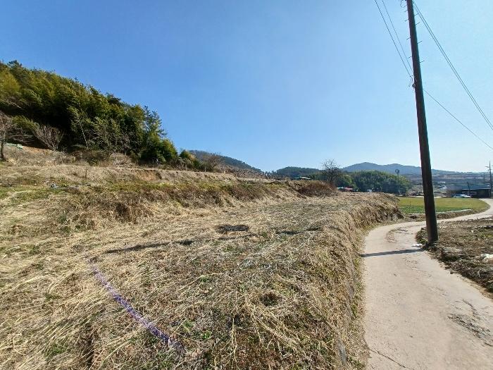 경상남도 사천시 곤양면 묵곡리 494-1 답 경매 사진 13