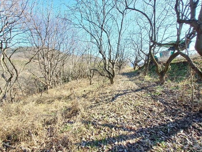 경상남도 사천시 곤양면 묵곡리 494-1 답 경매 사진 18