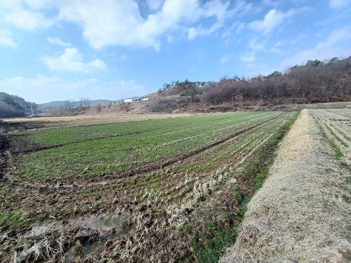 경상남도 사천시 곤양면 묵곡리 494-1 답 경매 사진 7