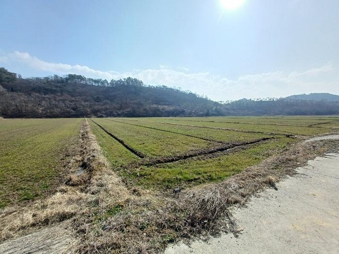 경상남도 사천시 전