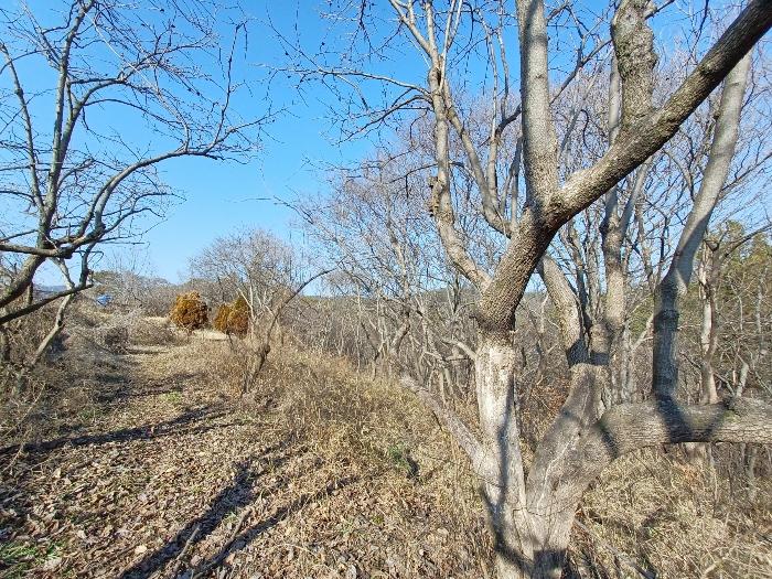 경상남도 사천시 곤양면 환덕리 986-2 전 경매 사진 17