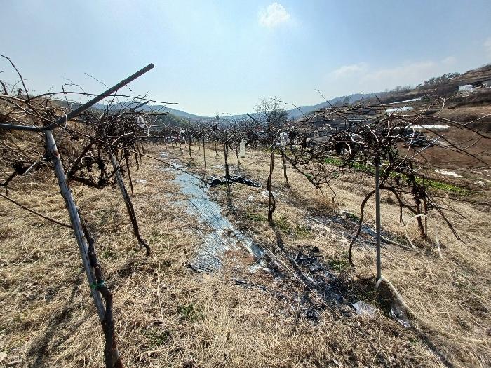경상남도 사천시 곤양면 환덕리 986-2 전 경매 사진 4