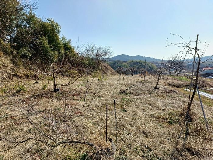 경상남도 사천시 곤양면 환덕리 986-2 전 경매 사진 6