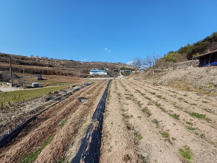 경상남도 사천시 곤양면 환덕리 1076-2 답 경매 사진 14