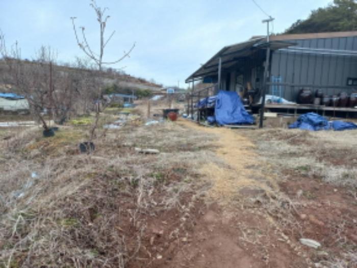 경상남도 사천시 곤양면 환덕리 1076-2 답 경매 사진 20