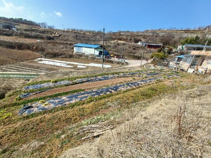 경상남도 사천시 곤양면 환덕리 1076-2 답 경매 사진 5