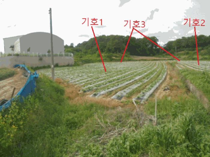충청북도 음성군 대소면 부윤리 170 전 경매 사진 1