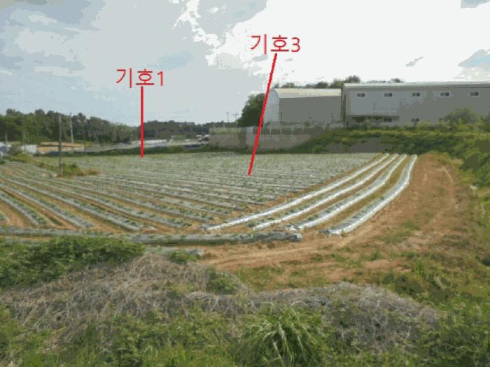 충청북도 음성군 대소면 부윤리 170 전 경매 사진 2
