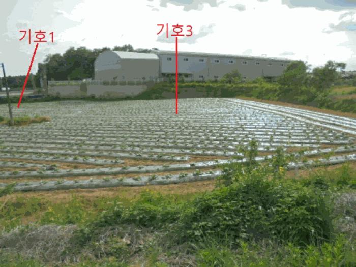 충청북도 음성군 대소면 부윤리 170 전 경매 사진 6