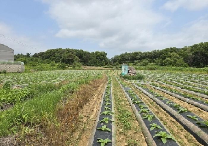충청북도 음성군 대소면 부윤리 170 전 경매 사진 9