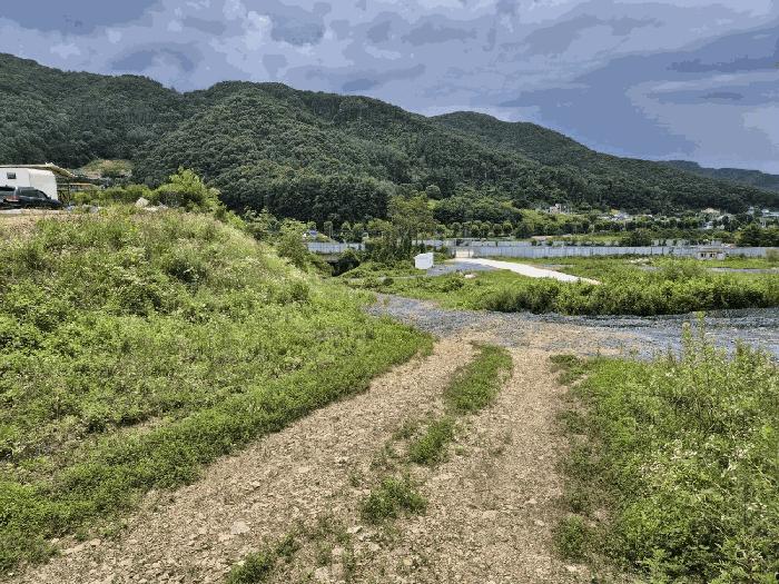 충청북도 음성군 음성읍 감우리 100 임야 경매 사진 12