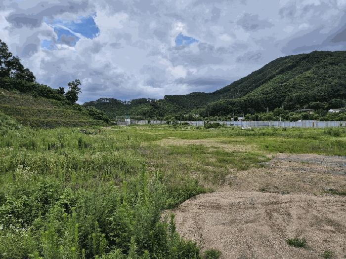 충청북도 음성군 음성읍 감우리 100 임야 경매 사진 5