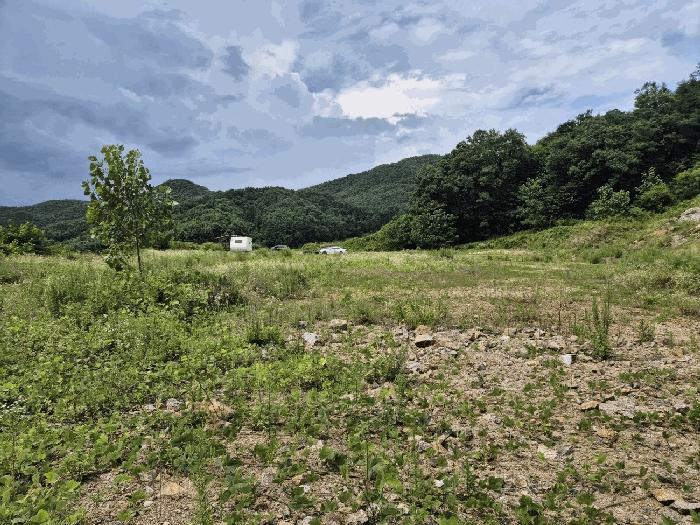 충청북도 음성군 음성읍 감우리 100 임야 경매 사진 8