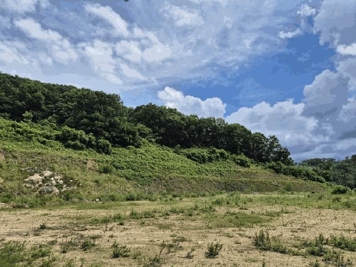 충청북도 음성군 음성읍 감우리 100 임야 경매 사진 9