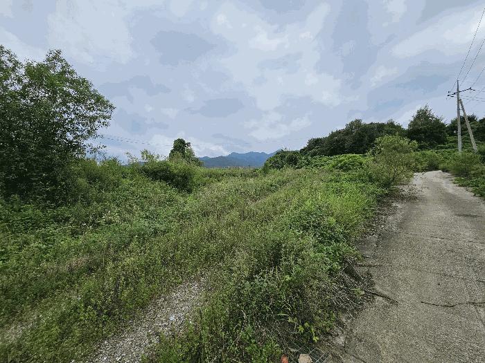충청북도 충주시 앙성면 마련리 208-1 전 경매 사진 3