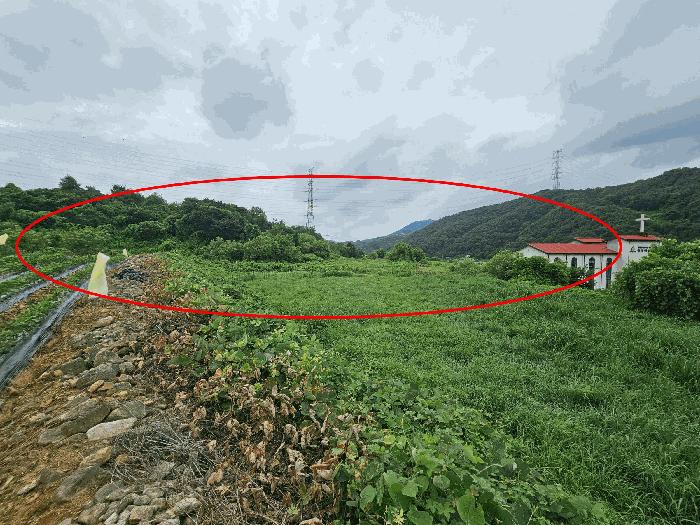 충청북도 충주시 앙성면 마련리 208-1 전 경매 사진 5