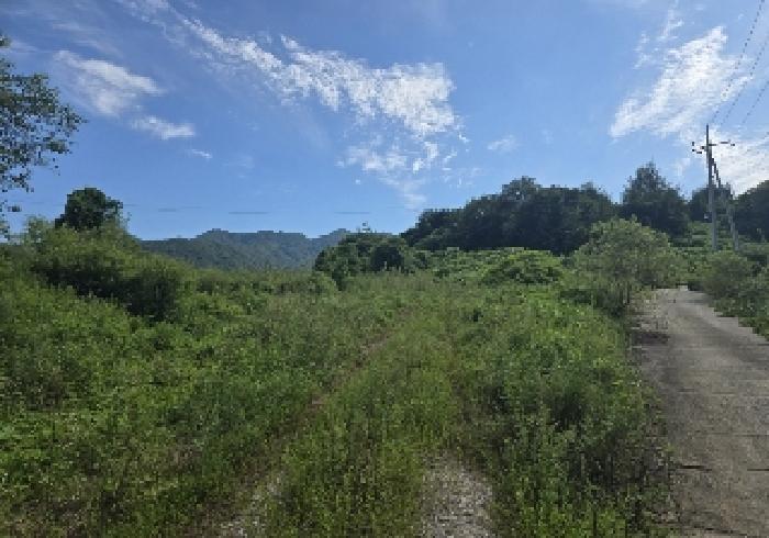 충청북도 충주시 앙성면 마련리 208-1 전 경매 사진 8