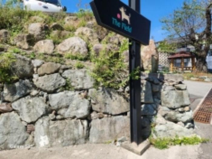 전라남도 순천시 해룡면 남가리 388-1 임야 경매 사진 18