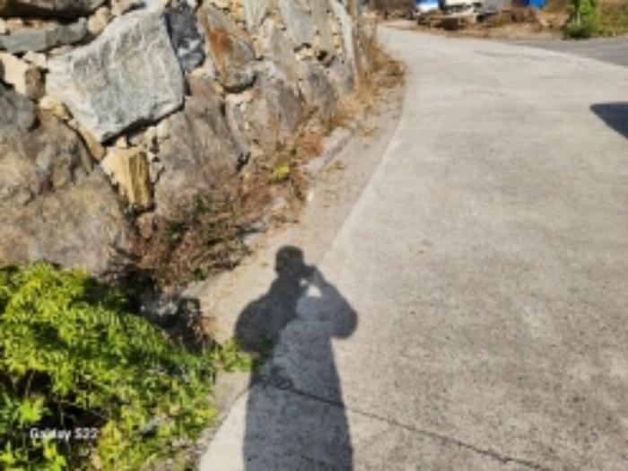 전라남도 순천시 해룡면 남가리 388-1 임야 경매 사진 32