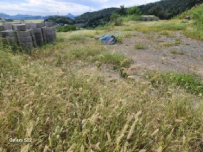 전라남도 순천시 해룡면 남가리 401-6 근린시설 경매 사진 10