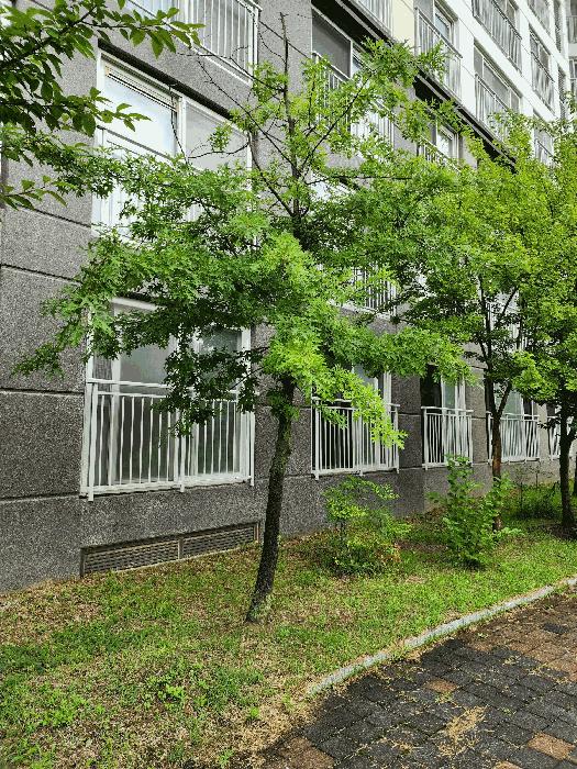 충청북도 충주시 중앙탑면 용전리 696 신우희가로아파트 109동 1층105호 아파트 경매 사진 8