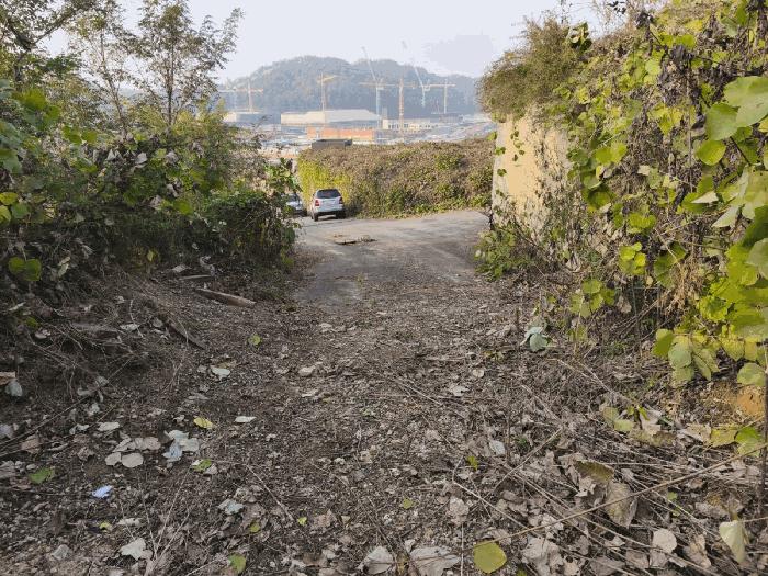 충청남도 아산시 탕정면 매곡리 115-41 임야 경매 사진 10