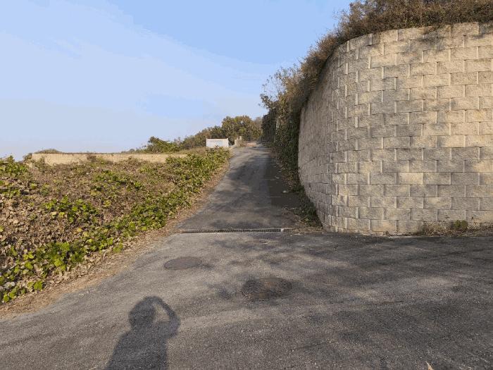 충청남도 아산시 탕정면 매곡리 115-41 임야 경매 사진 3