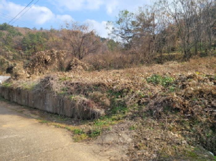 전라남도 고흥군 도덕면 가야리 2756 전 경매 사진 4