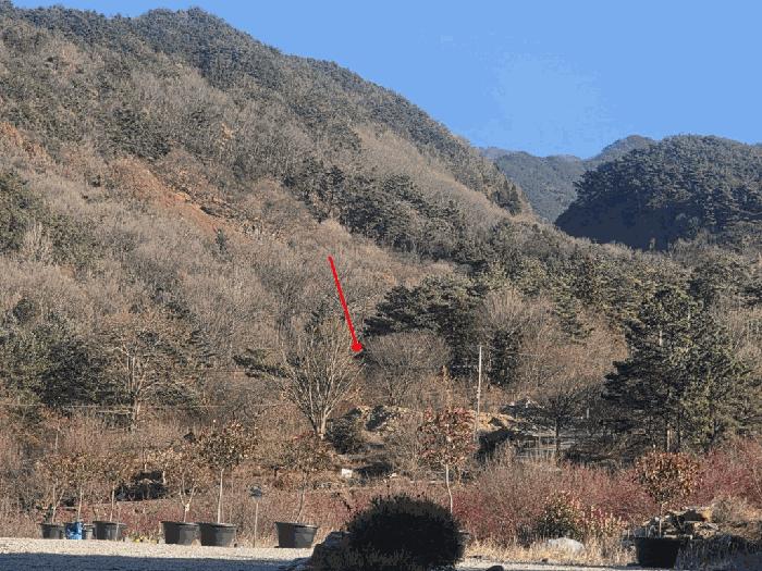 전라남도 구례군 답