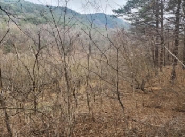 전라남도 구례군 산동면 탑정리 504 답 경매 사진 10