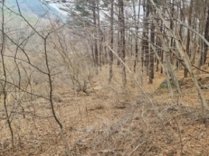 전라남도 구례군 산동면 탑정리 504 답 경매 사진 12