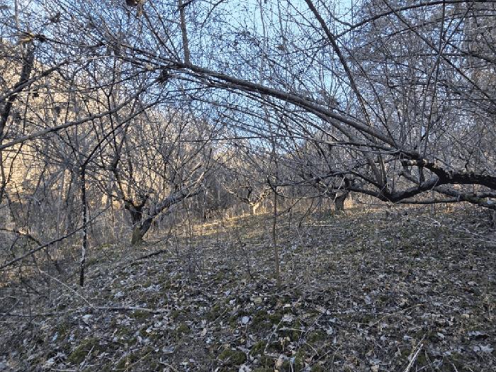전라남도 구례군 산동면 탑정리 504 답 경매 사진 8