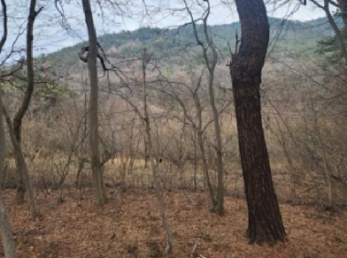 전라남도 구례군 산동면 탑정리 504 답 경매 사진 9