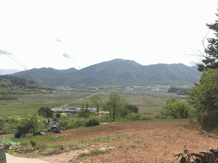 전라남도 순천시 해룡면 상내리 108 답 경매 사진 3