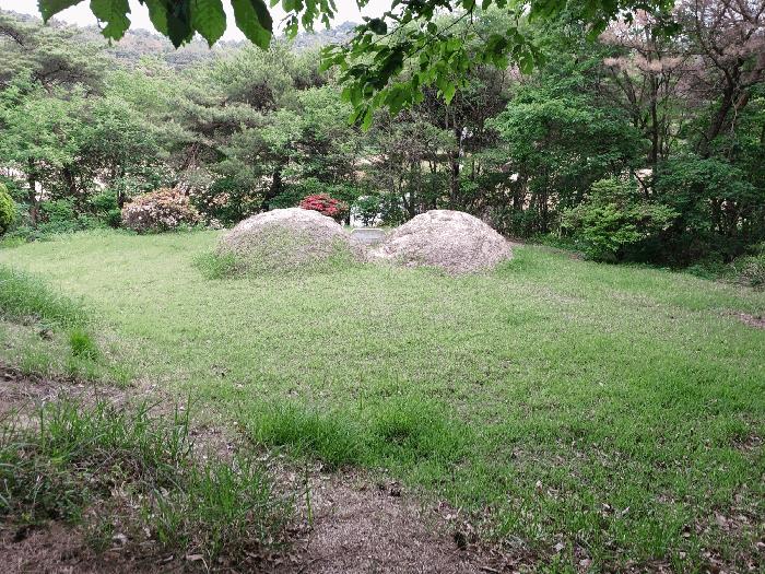 경상북도 포항시 남구 오천읍 원리 792 답 경매 사진 4