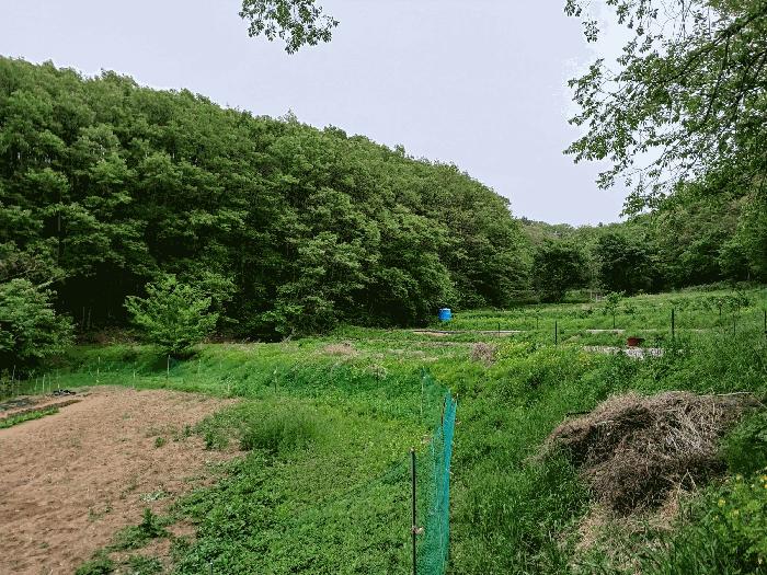 경상북도 포항시 남구 오천읍 원리 792 답 경매 사진 6