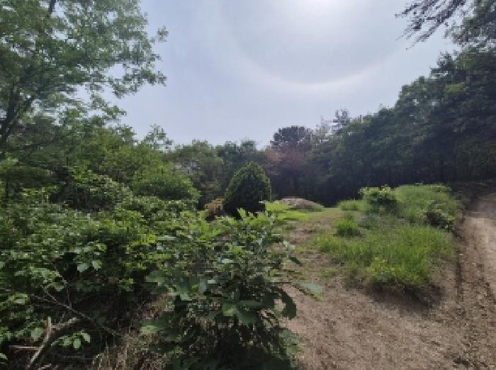 경상북도 포항시 남구 오천읍 원리 산36-27 임야 경매 사진 7