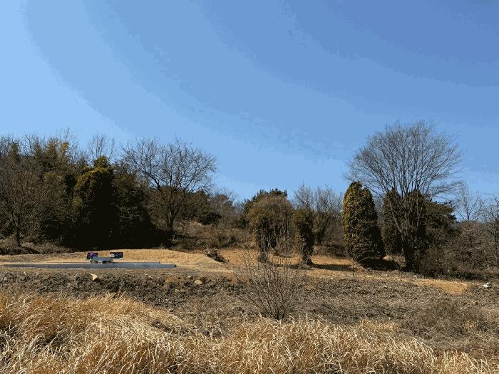 경상남도 산청군 신등면 모례리 674 답 경매 사진 11