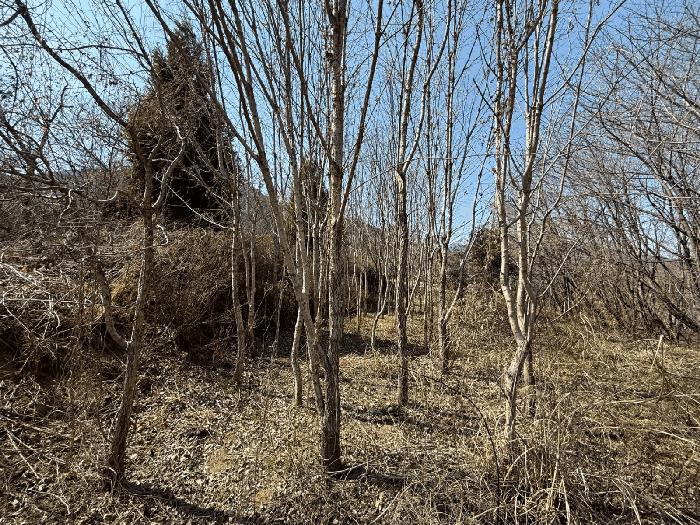 경상남도 산청군 신등면 모례리 674 답 경매 사진 18