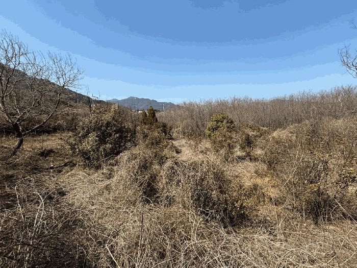 경상남도 산청군 신등면 모례리 674 답 경매 사진 20