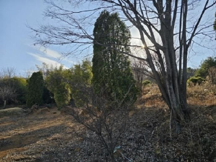 경상남도 산청군 신등면 모례리 674 답 경매 사진 29
