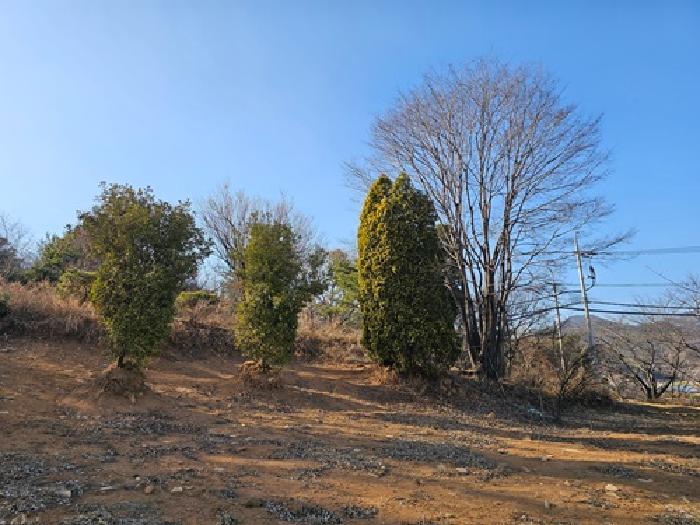 경상남도 산청군 신등면 모례리 674 답 경매 사진 31
