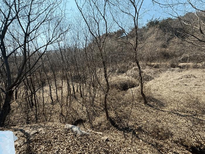 경상남도 산청군 신등면 모례리 674 답 경매 사진 6