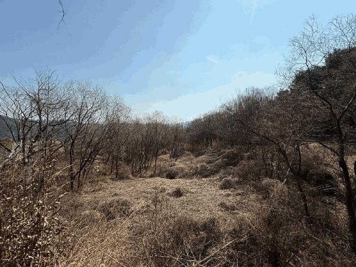 경상남도 산청군 신등면 모례리 674 답 경매 사진 7