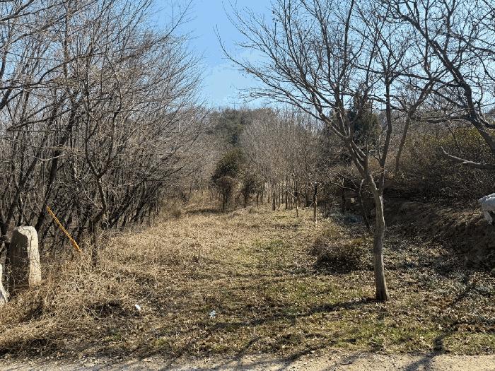 경상남도 산청군 신등면 모례리 674 답 경매 사진 9