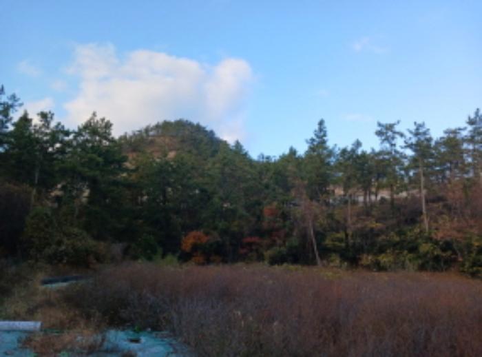 전북특별자치도 군산시 옥도면 선유도리 337-1 전 경매 사진 33