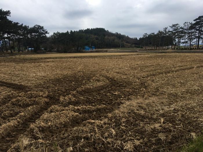 전라남도 해남군 북일면 원동길 38-8 주택 경매 사진 23